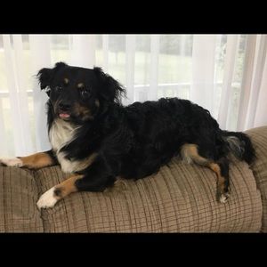 Meet your Posher, Hope